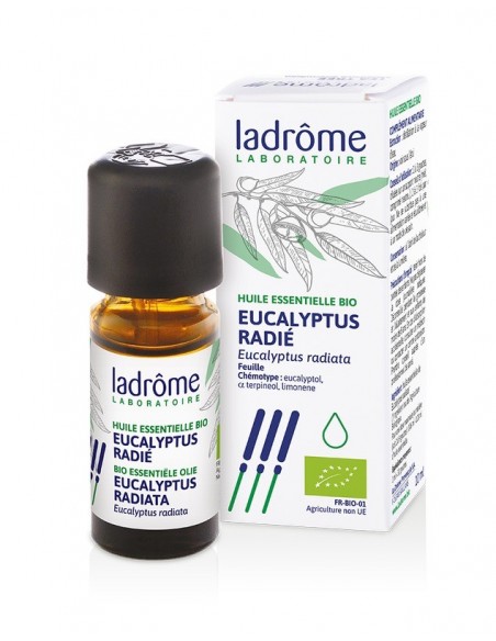 Aceite esencial eucalipto radiata bio,10ml - Imagen 1