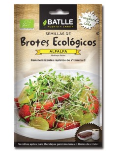 Brotes alfalfa para germinar sobres