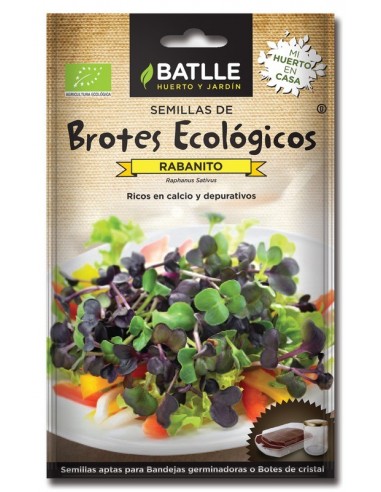 Imagen 1 - Brotes Rabanito sango para germinar sobres Brotes Rabanito sango para germinar sobres - Imagen 1