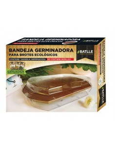 Germinador para brotes