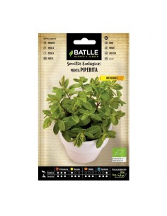 Semillas Menta Piperita