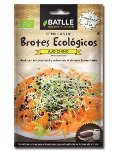 Brotes ajo chino para germinar sobres