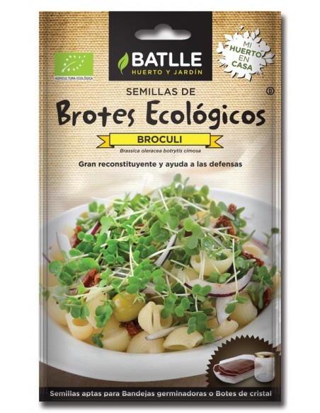 Brotes brócoli para germinar sobres - Imagen 1
