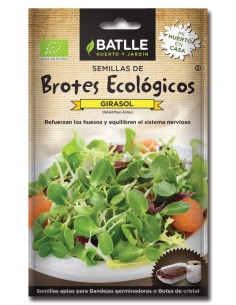 Brotes girasol para germinar sobres