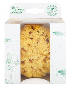 Esponja marina del Mediterráneo grande, 12cm