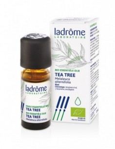 Aceite esencial árbol té bio