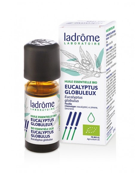 Imagen 1 - Aceite esencial eucalipto bio Aceite esencial eucalipto bio - Imagen 1