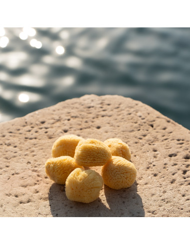 Esponja marina del Mediterráneo grande, 12cm - Imagen 3